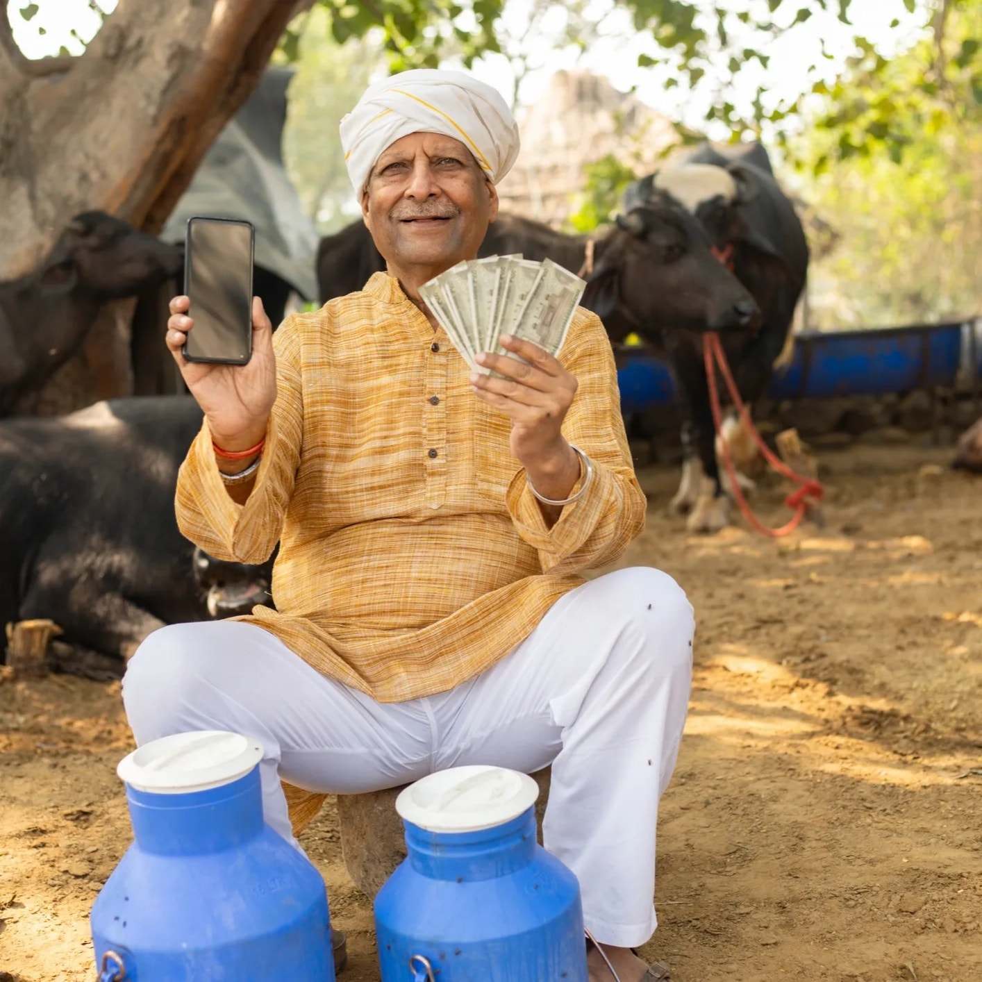 Livestock and dairy farming